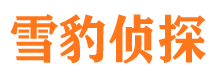 宁武侦探公司